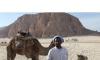 Star Gazing & Bedouin Tours - Safari Trip, Excursions in Sharm