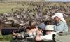 Wilderbeest Migrations safaris in Masai mara