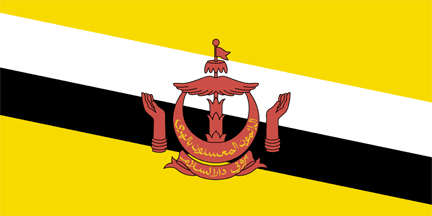 Национальный флаг, Бруней