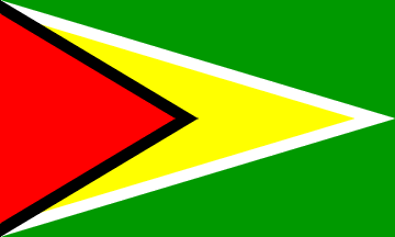 Национальный флаг, Гайана