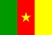 Национальный флаг, Камерун