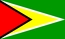 Национальный флаг, Гайана
